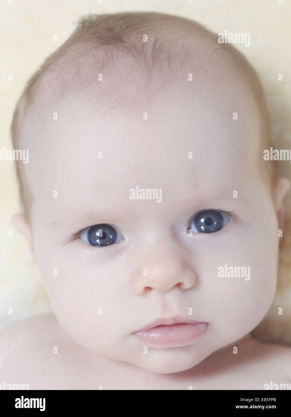A nove settimane vecchio bambina con gli occhi blu. Foto Stock