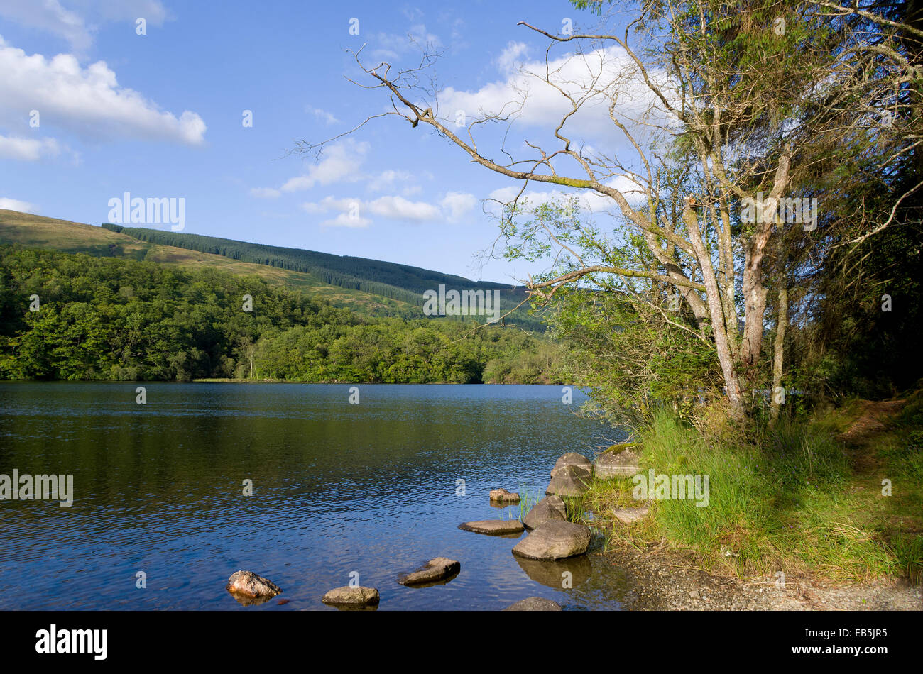 Loch Ard, Queen Elizabeth Forest Park, Trossachs, Stirlingshire, Scotland, Regno Unito Foto Stock