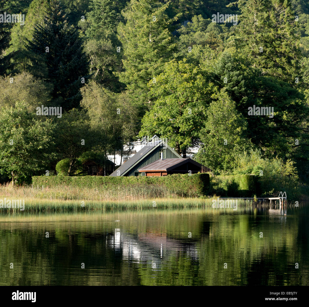 Loch Ard, Queen Elizabeth Forest Park, Trossachs, Stirlingshire, Scotland, Regno Unito Foto Stock