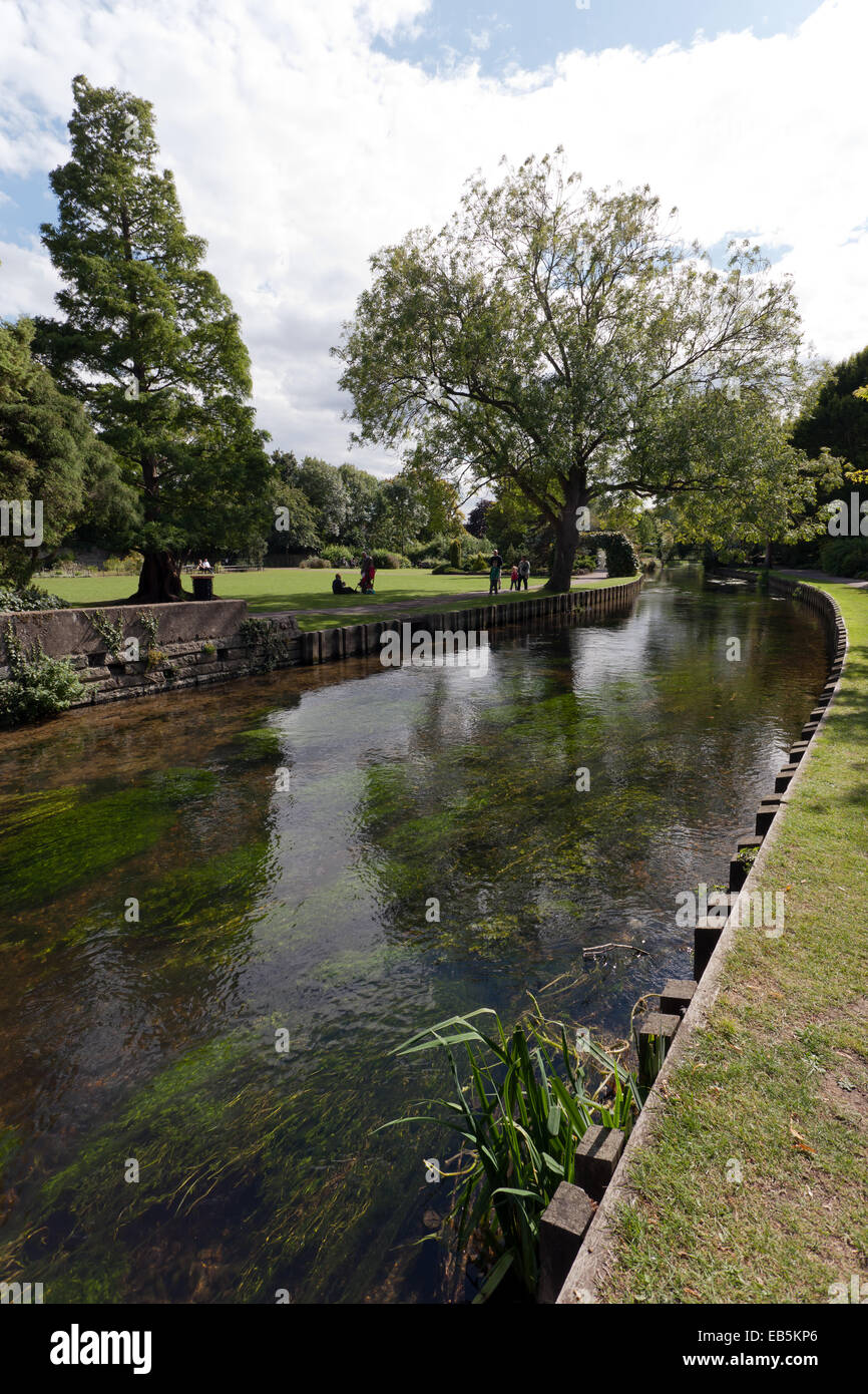 Vista del grande fiume Stour quando esso passa attraverso la Westgate giardini, Canterbury Kent. Foto Stock