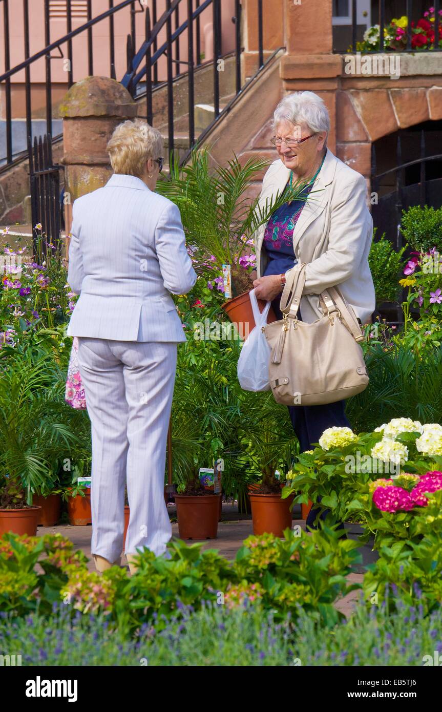 Il vecchio donna guardando un impianto. Carlisle mercato continentale Carlisle Centro Città Carlisle Cumbria Inghilterra REGNO UNITO Foto Stock