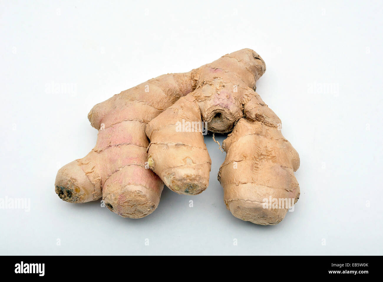 Vor Ingwerknolle weissen Hintergrund Foto Stock