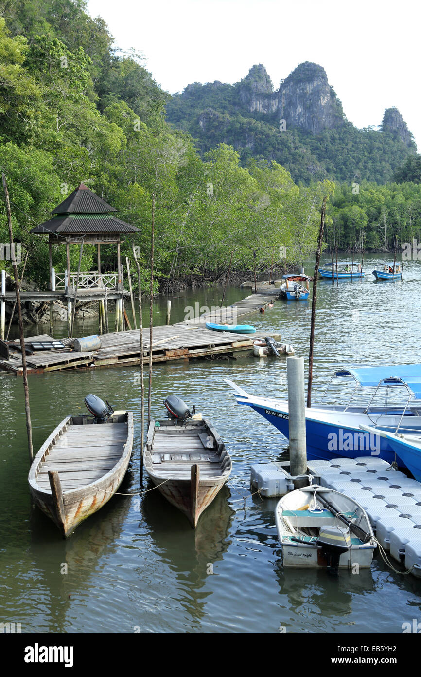 Imbarcazioni al Carso Kelim Geoforest Park a Langkawi, Malesia. Foto Stock