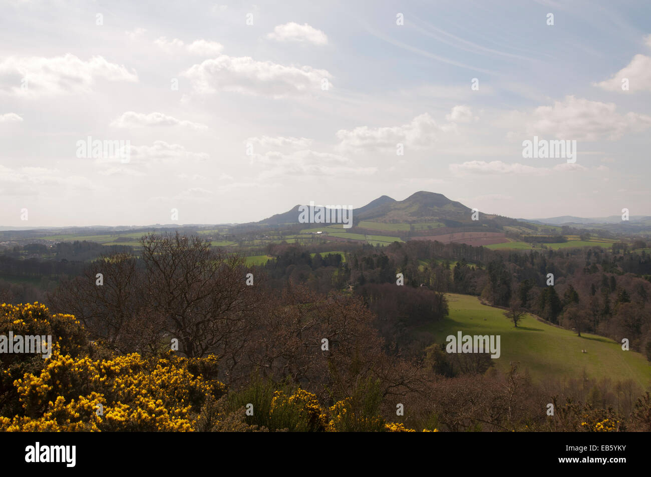 Il Eildons da Scotts Vista, vicino a Melrose Foto Stock