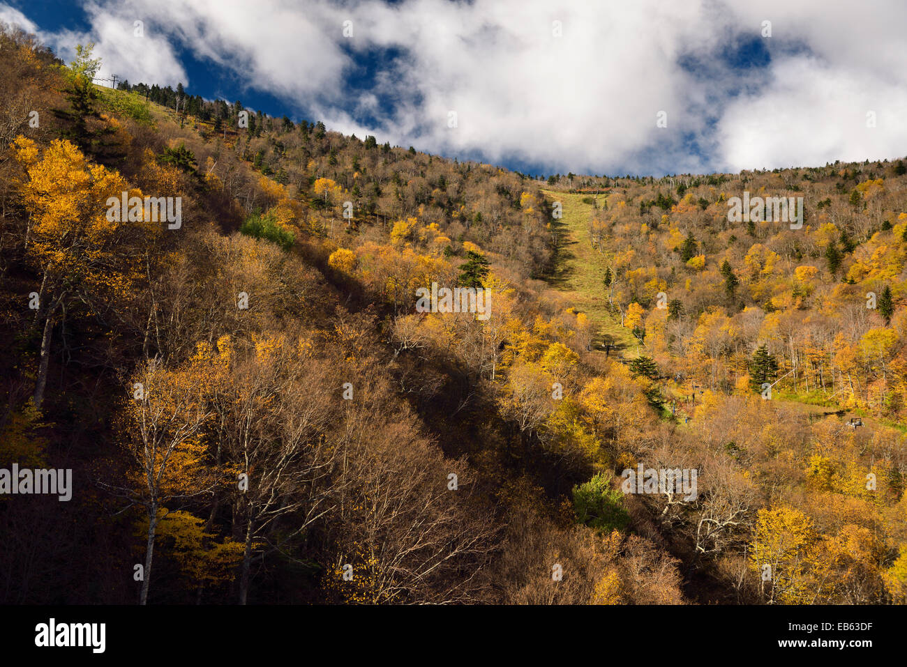 Vista del Canyon Quad e Oriente percorso di caduta in corrispondenza di Killington Mountain Resort Vermont in autunno Foto Stock
