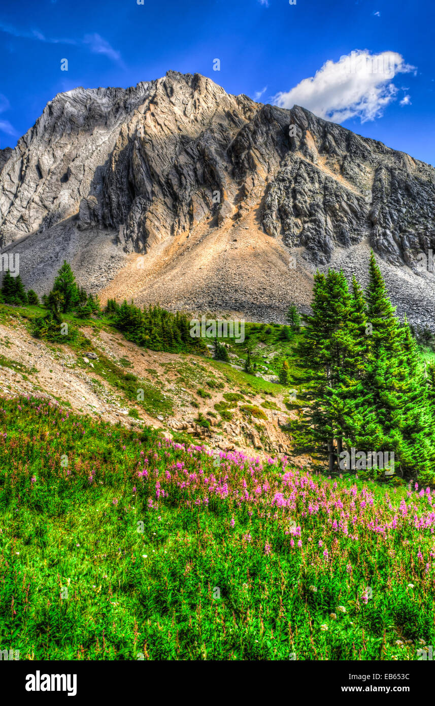 Scenic estate escursioni in montagna paesaggi di Ptarmigan Cirque, Peter Lougheed Parco provinciale paese Kananaskis Alberta Canada Foto Stock