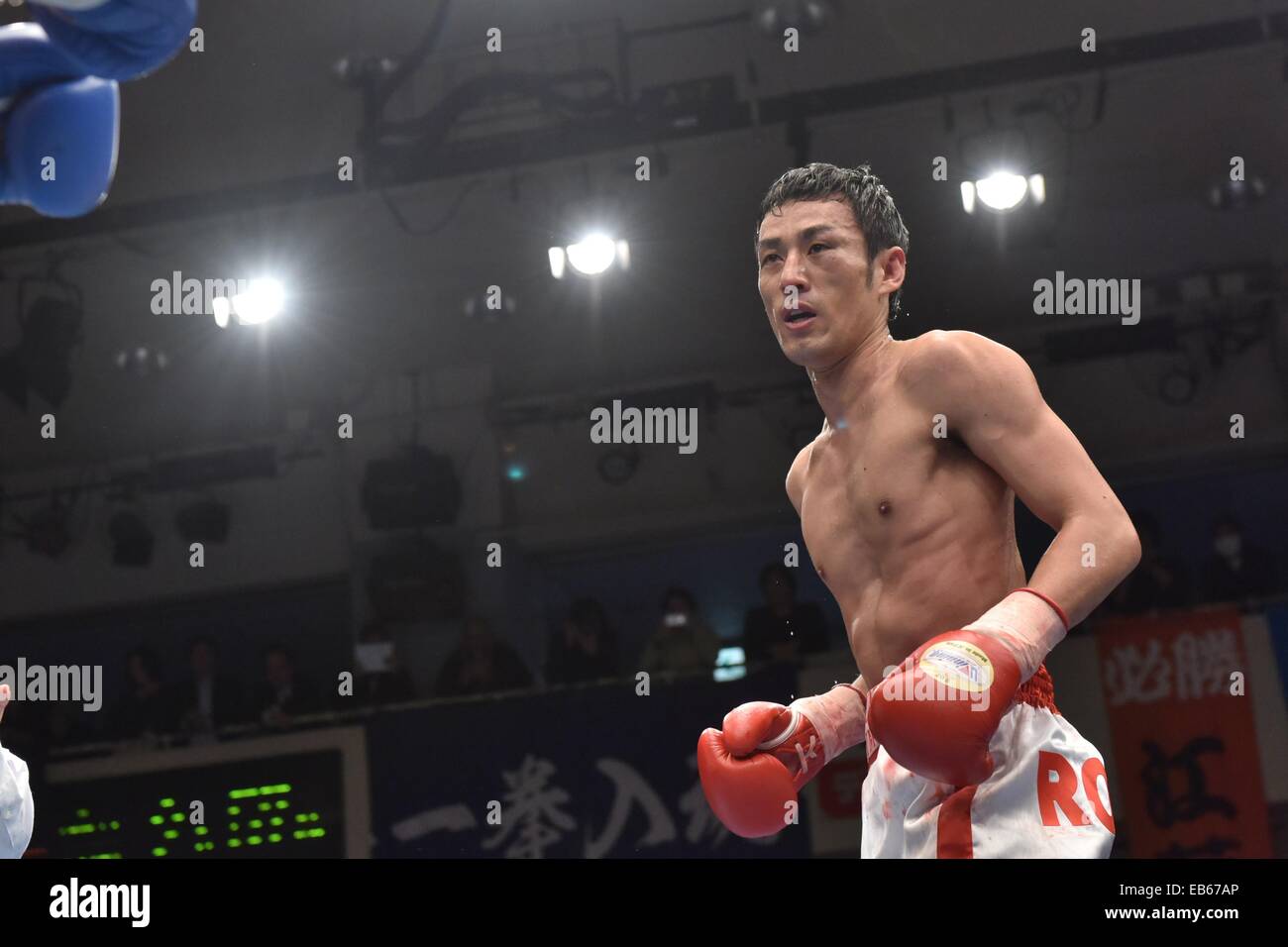 Tokyo, Giappone. 26 Nov, 2014. Robert Yamamoto (Hiroshi Yamamoto) (JPN) Boxe : Robert Yamamoto del Giappone durante il quarto round del suo debutto pro 4R peso piuma bout a Korakuen Hall a Tokyo in Giappone . © Hiroaki Yamaguchi/AFLO/Alamy Live News Foto Stock