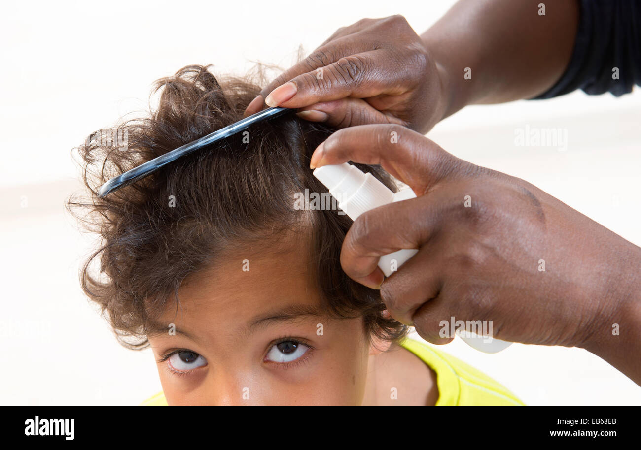 Il trattamento per i pidocchi Foto Stock