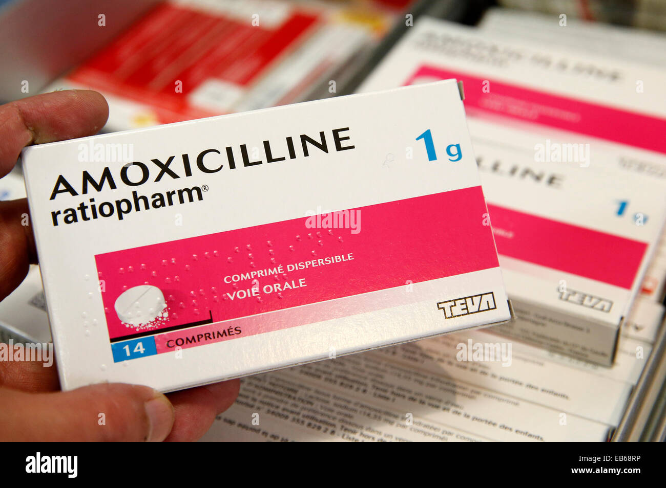 ANTIBIOTICO Foto Stock