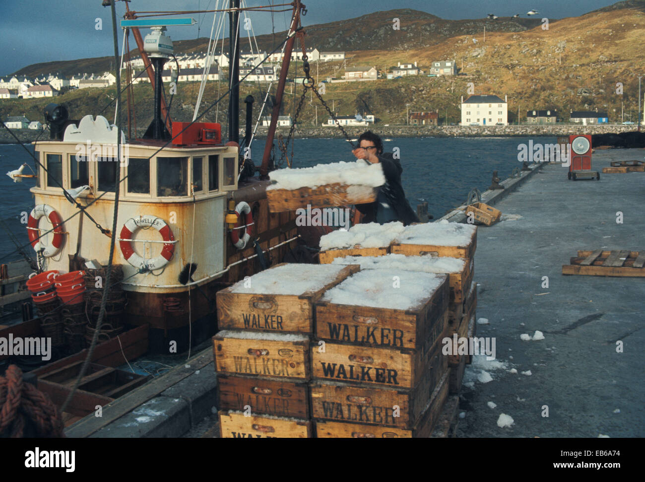 Sbarco delle catture di pesca dalla barca al porto di Mallaig sull'Isola di Skye in Scozia ( Circa metà degli anni settanta) Foto Stock