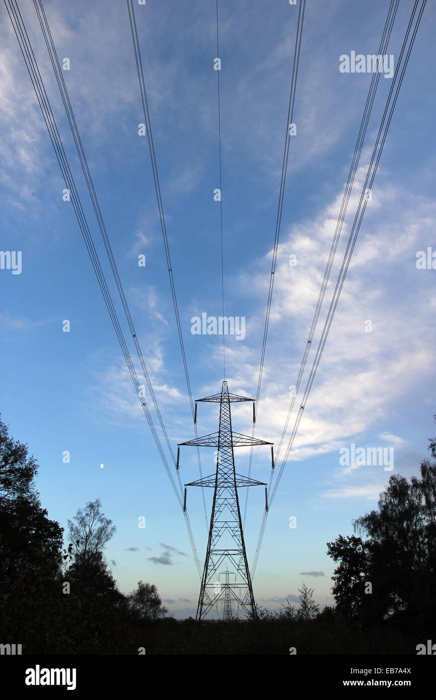 Tralicci elettrici al crepuscolo Sandy Bedfordshire England Regno Unito Foto Stock
