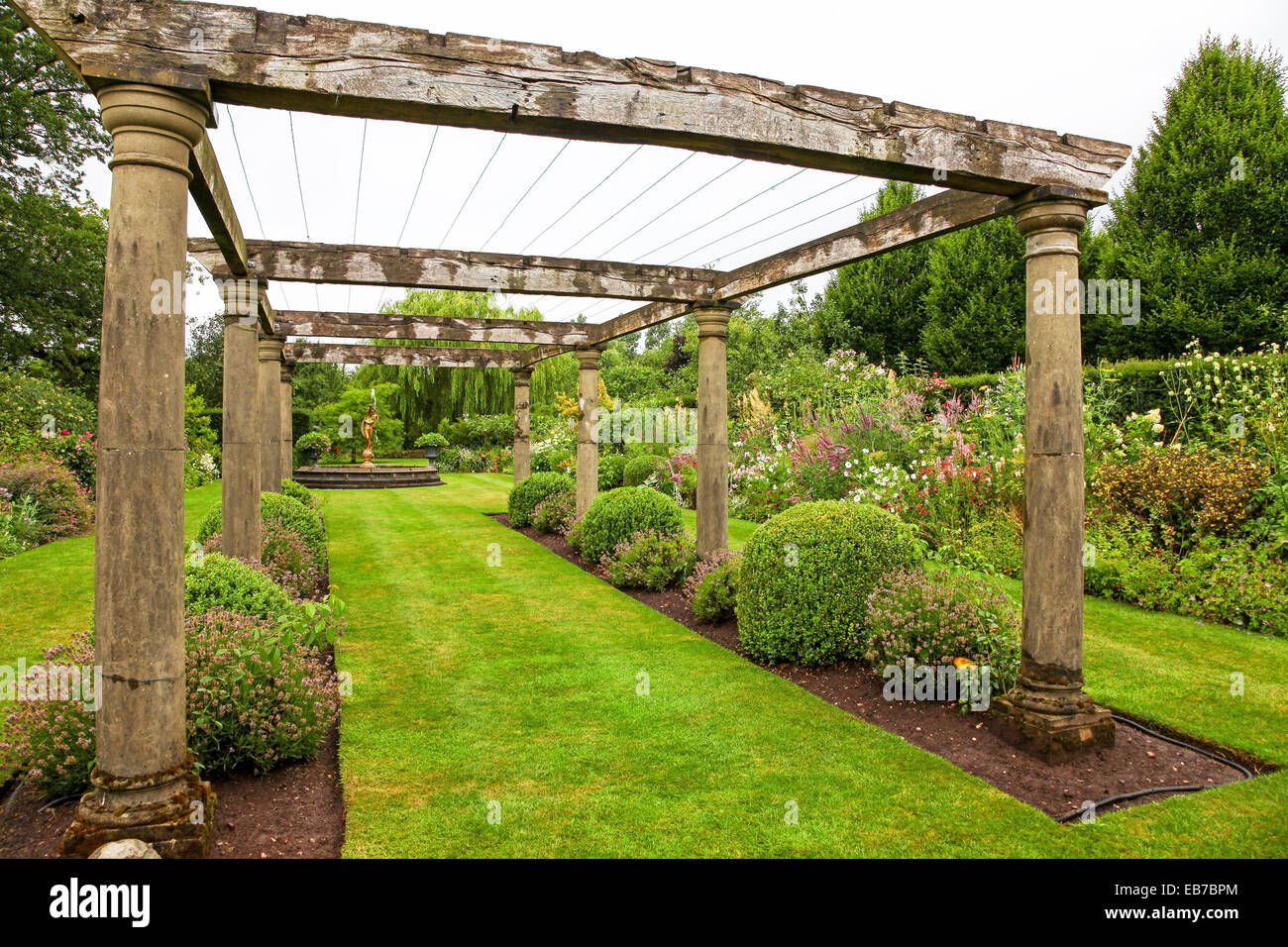 Siepi topiari e tasso a Wilkins Pleck giardino, Whitmore, Newcastle sotto Lyme, Stoke on Trent, Staffordshire, Inghilterra, Regno Unito Foto Stock
