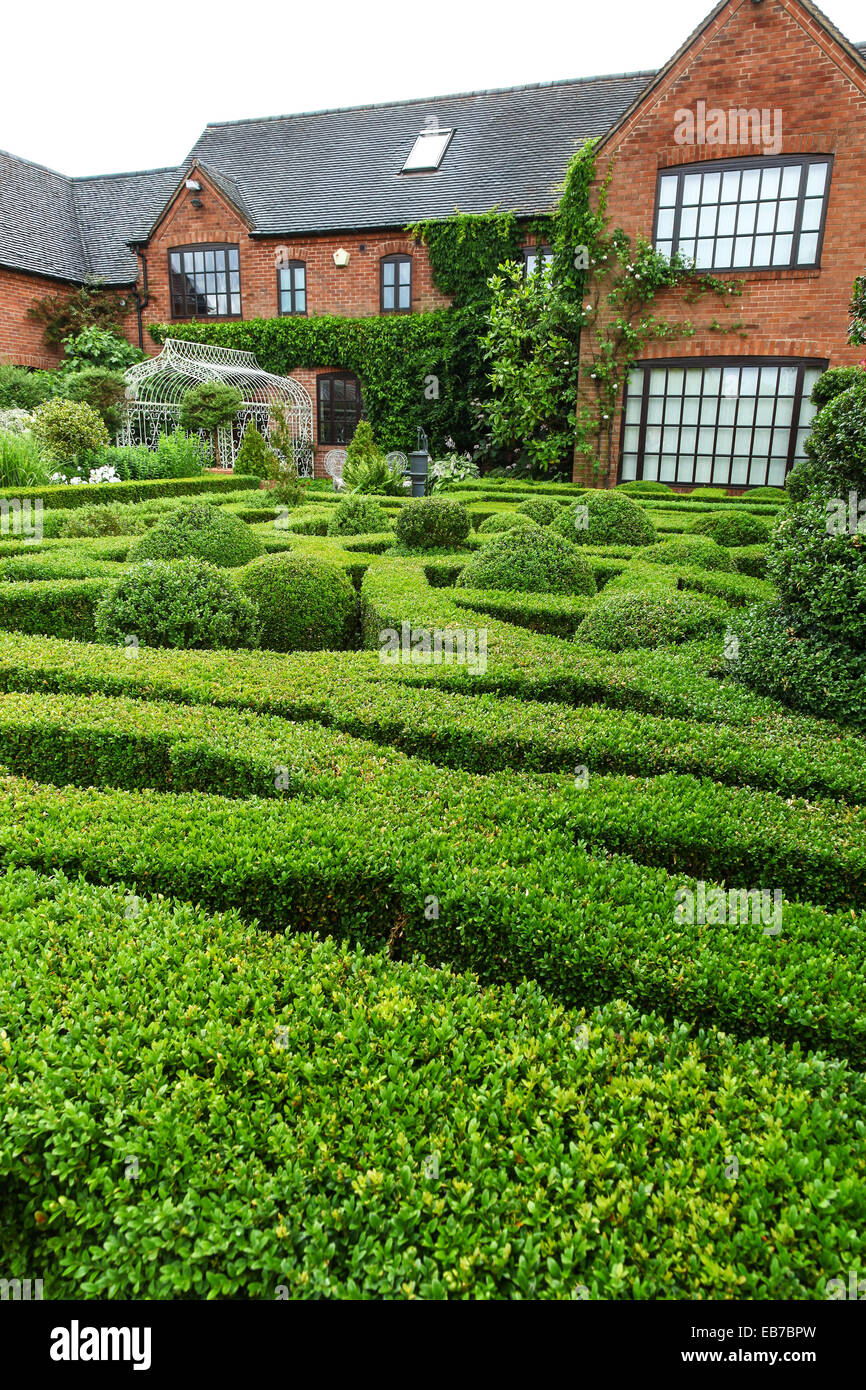 Siepi topiari e tasso a Wilkins Pleck giardino, Whitmore, Newcastle sotto Lyme, Stoke on Trent, Staffordshire, Inghilterra, Regno Unito Foto Stock