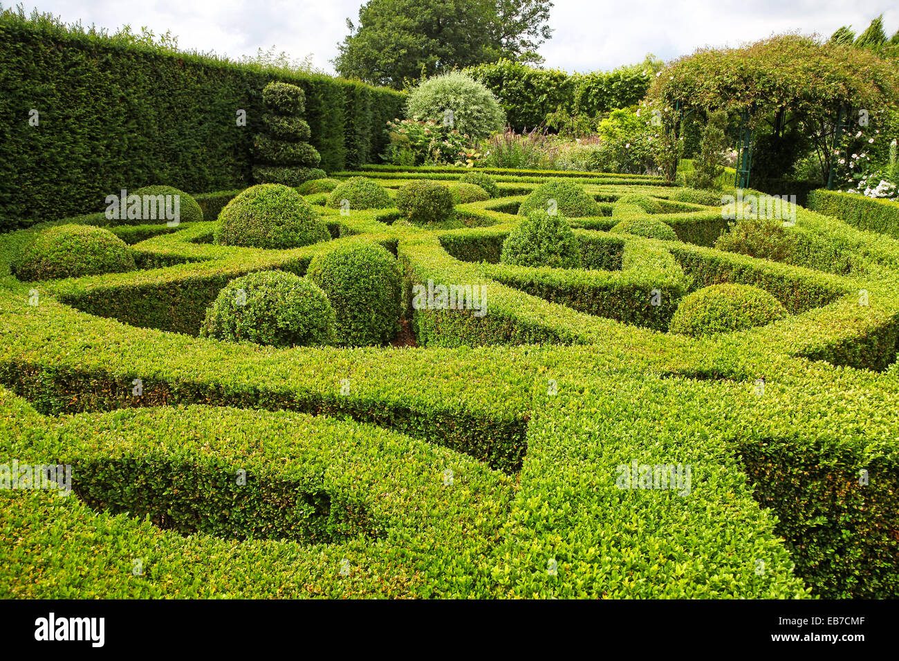 Siepi topiari e tasso a Wilkins Pleck giardino, Whitmore, Newcastle sotto Lyme, Stoke on Trent, Staffordshire, Inghilterra, Regno Unito Foto Stock