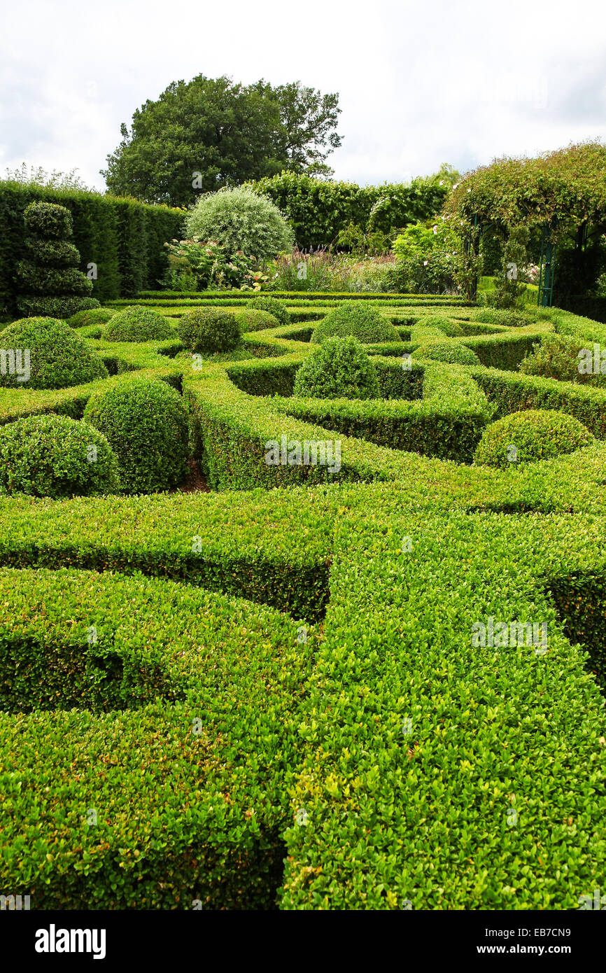 Siepi topiari e tasso a Wilkins Pleck giardino, Whitmore, Newcastle sotto Lyme, Stoke on Trent, Staffordshire, Inghilterra, Regno Unito Foto Stock