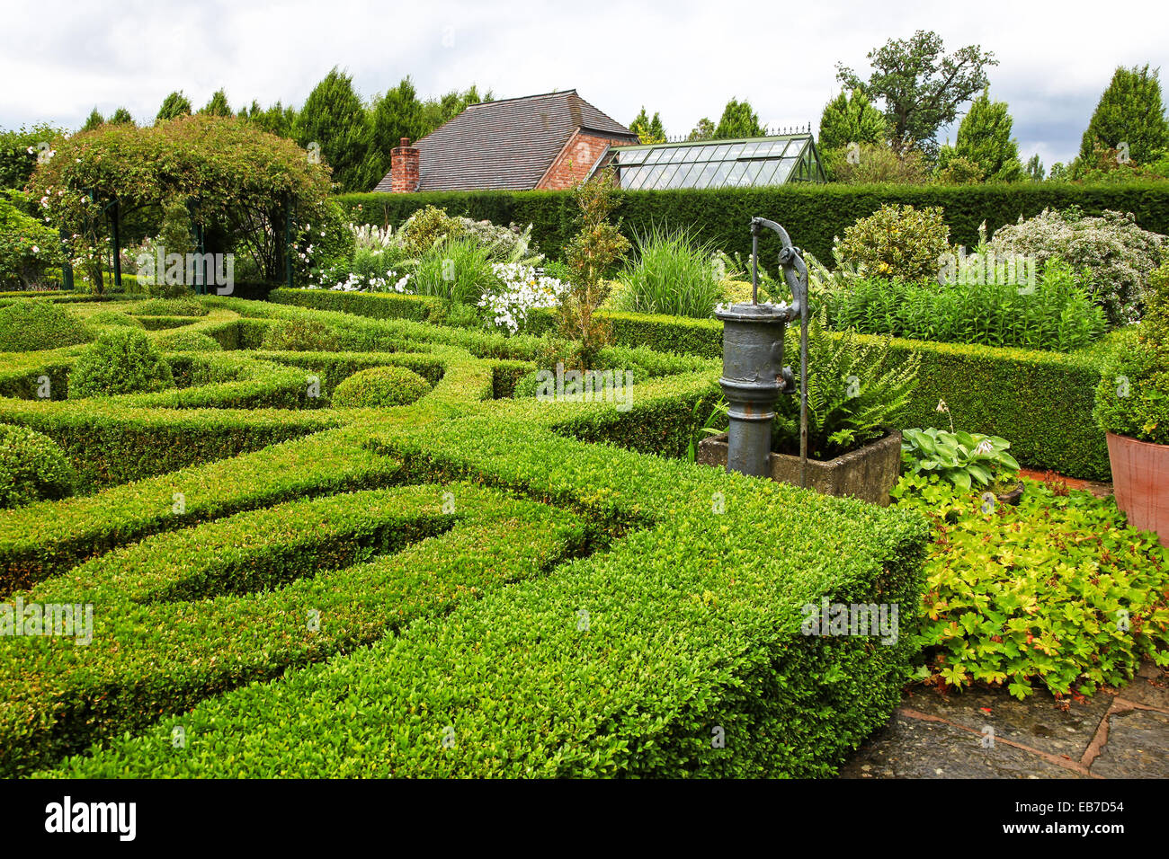 Siepi topiari e tasso a Wilkins Pleck giardino, Whitmore, Newcastle sotto Lyme, Stoke on Trent, Staffordshire, Inghilterra, Regno Unito Foto Stock