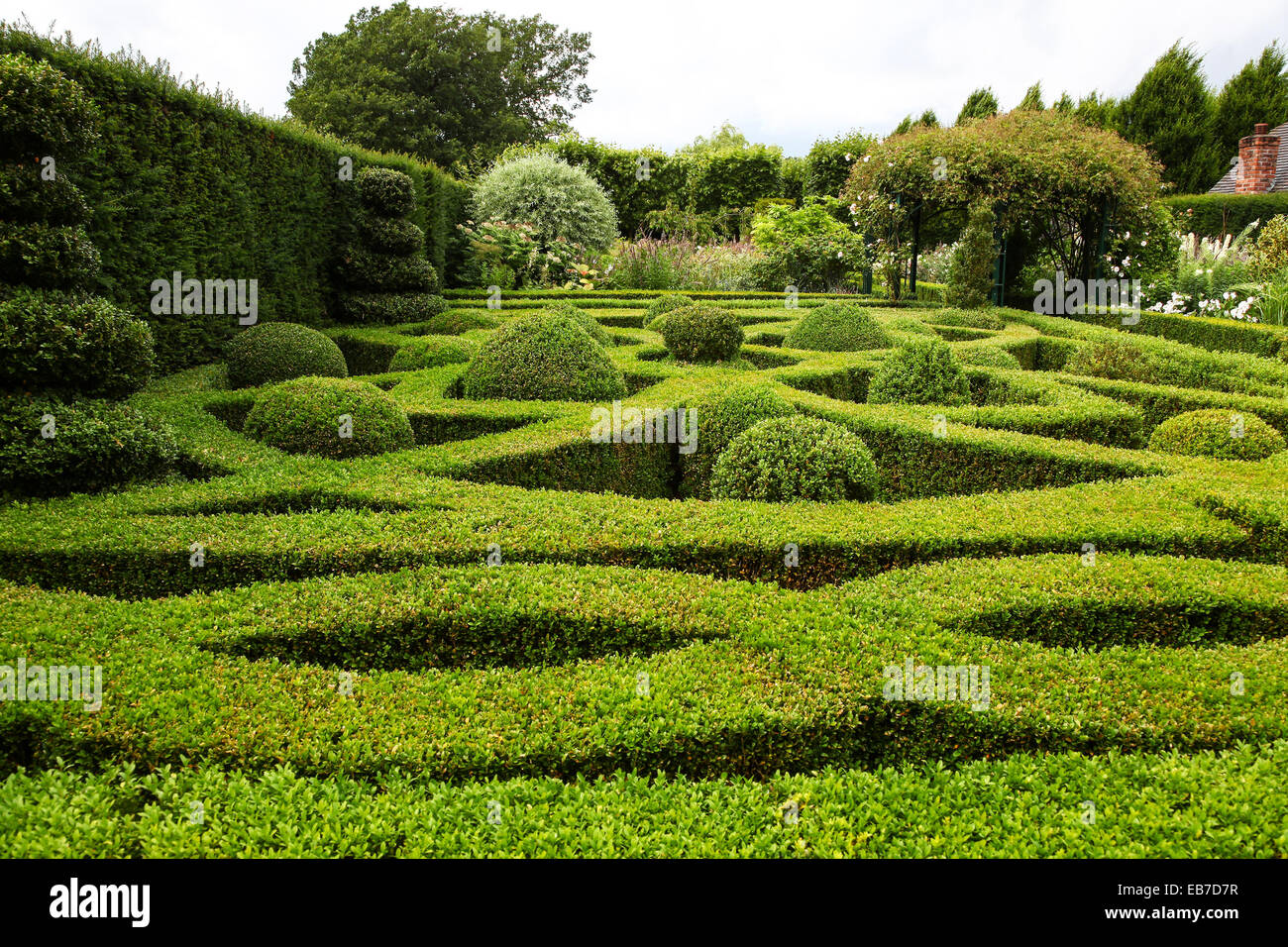 Siepi topiari e tasso a Wilkins Pleck giardino, Whitmore, Newcastle sotto Lyme, Stoke on Trent, Staffordshire, Inghilterra, Regno Unito Foto Stock