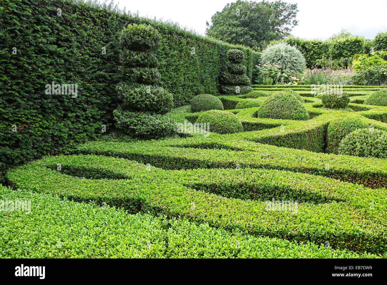 Siepi topiari e tasso a Wilkins Pleck giardino, Whitmore, Newcastle sotto Lyme, Stoke on Trent, Staffordshire, Inghilterra, Regno Unito Foto Stock