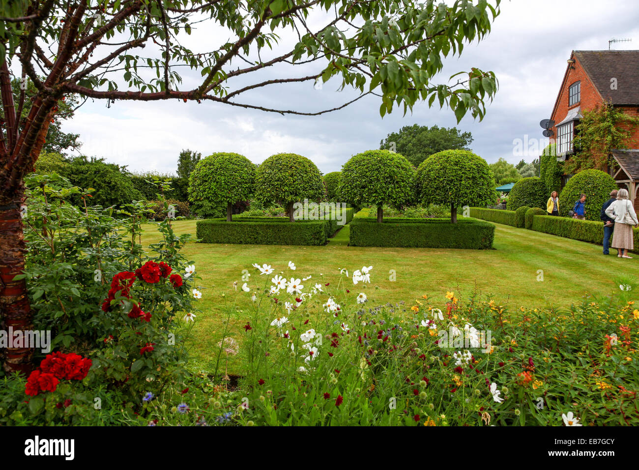 Siepi topiari e tasso a Wilkins Pleck giardino, Whitmore, Newcastle sotto Lyme, Stoke on Trent, Staffordshire, Inghilterra, Regno Unito Foto Stock