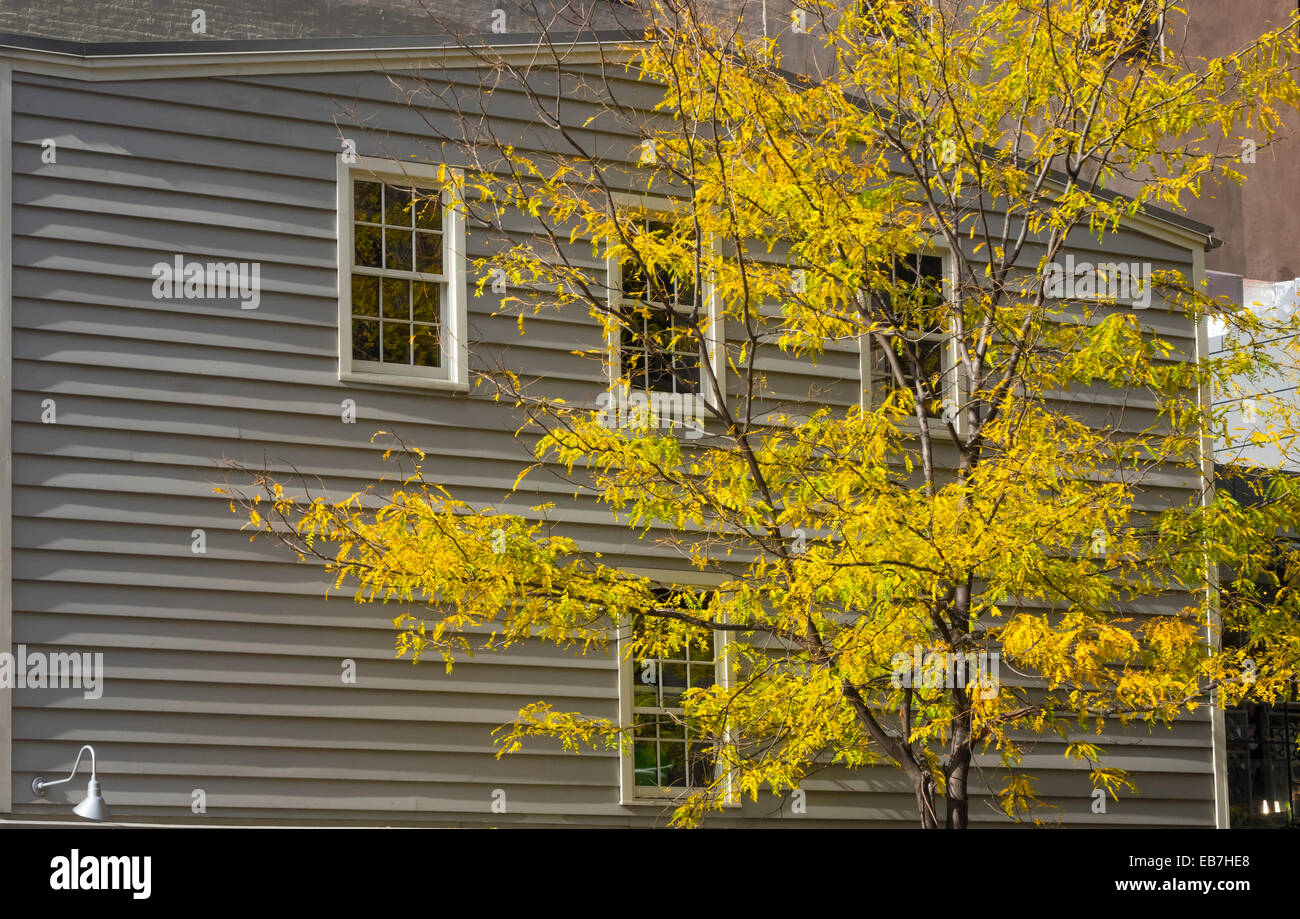 Inizio Costruzione in legno nella parte inferiore di Manhattan a New York City e di colore giallo brillante caduta foglie su un albero giovane Foto Stock