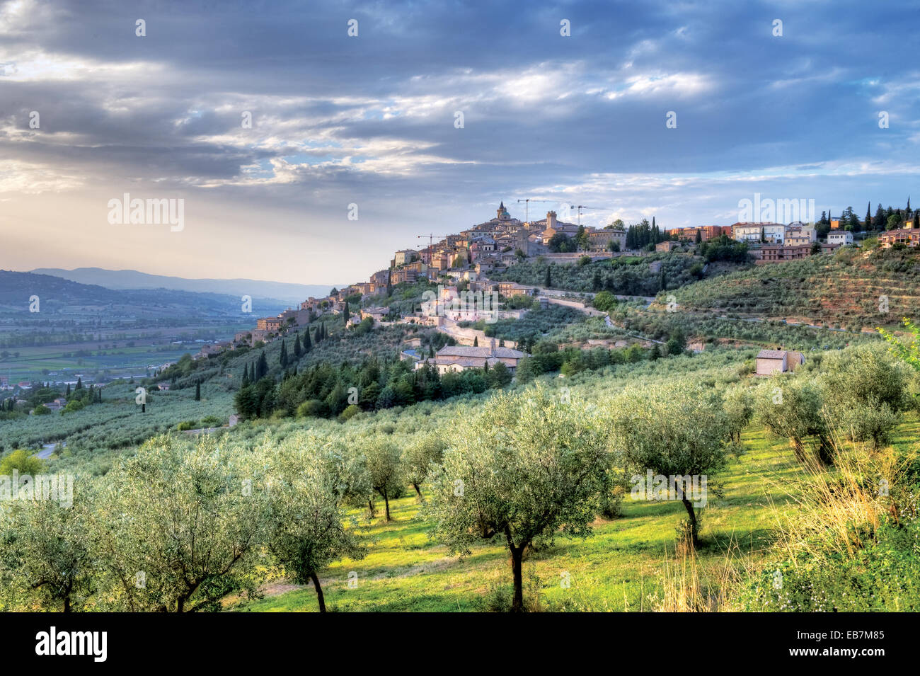 Trevi Umbria. Il villaggio, uno dei borghi più belli d'Italia, sulla cima di una collina e circondato da alberi di olivo. Foto Stock
