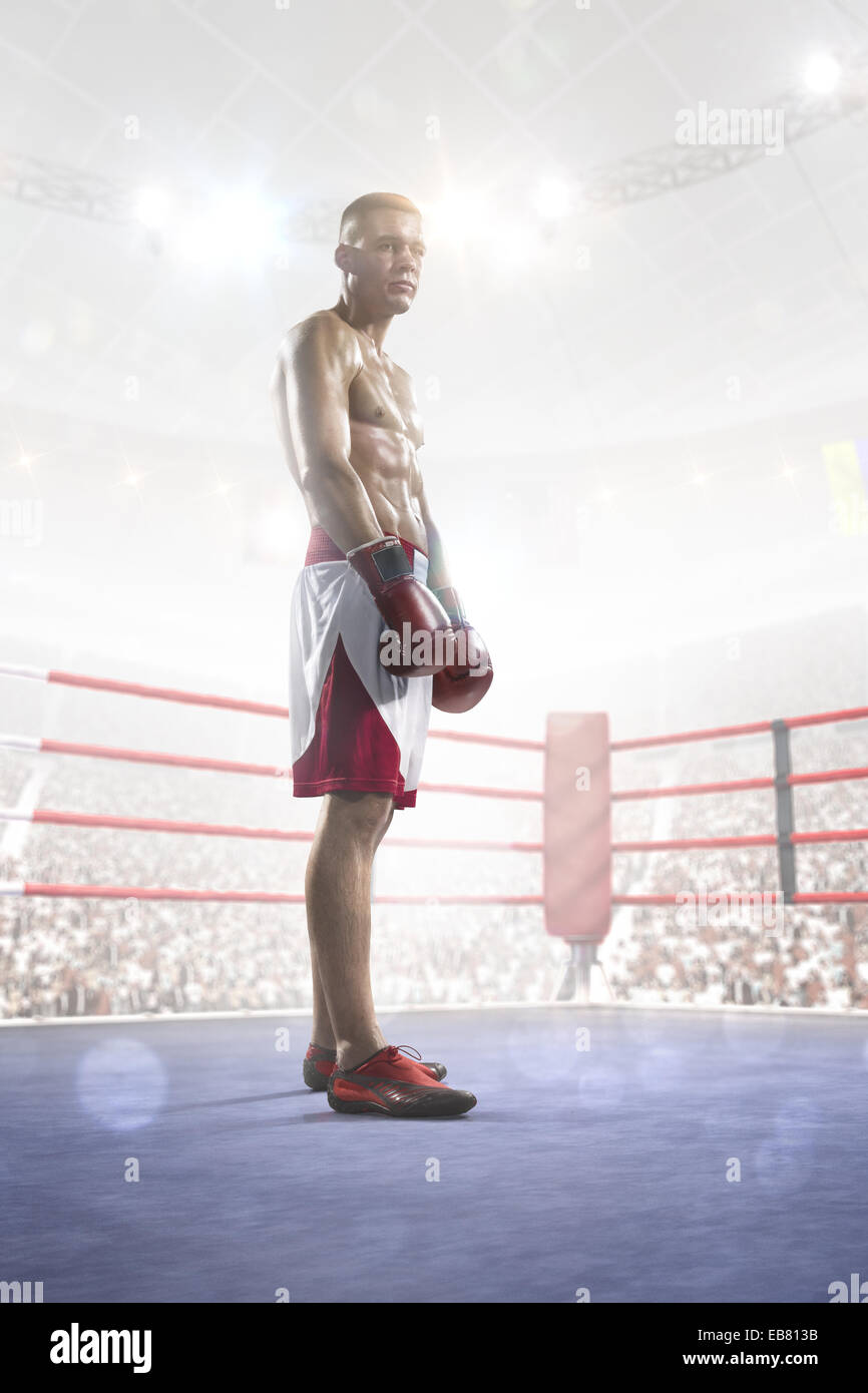 Boxer professionale è la formazione sul grand arena Foto Stock