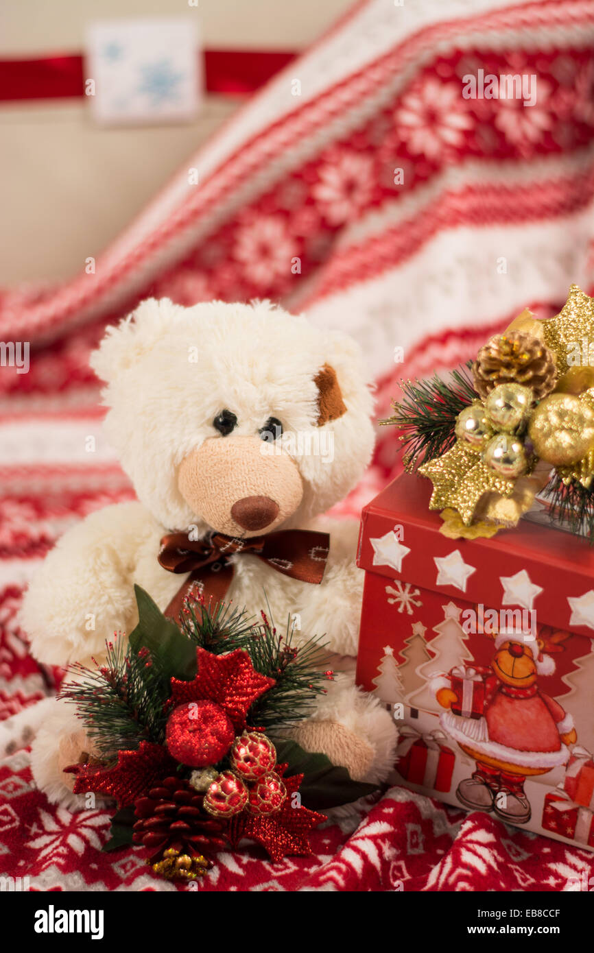 Orsetti Aspettando il Natale Foto Stock