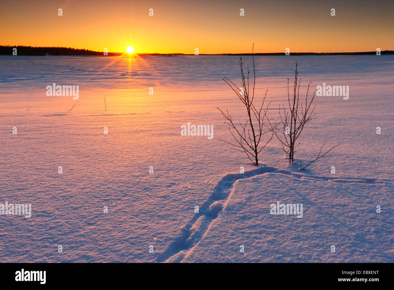 Paesaggio invernale. Tramonto in Lapponia, Finlandia Foto Stock