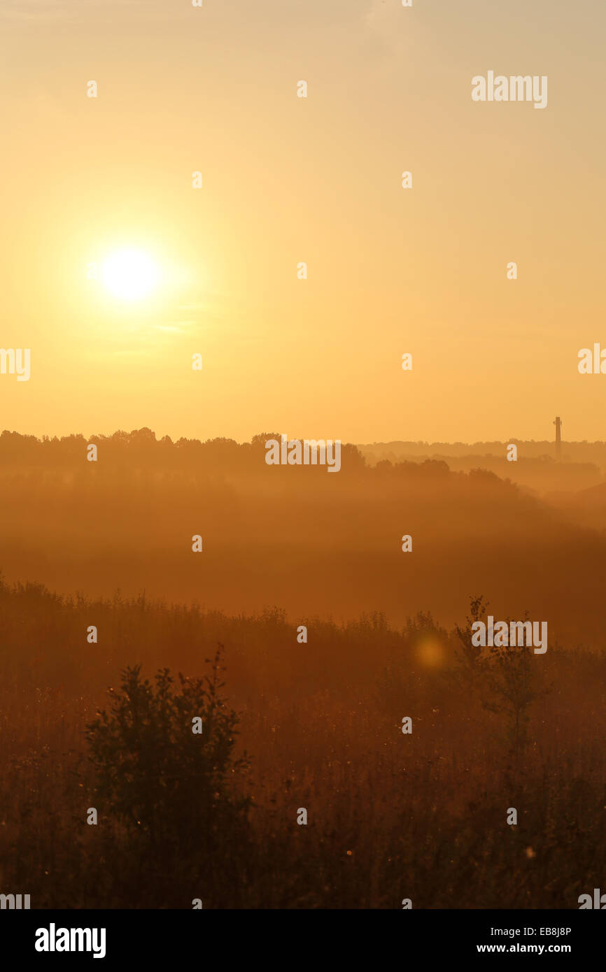 Inizio bellissima alba nel campo Foto Stock