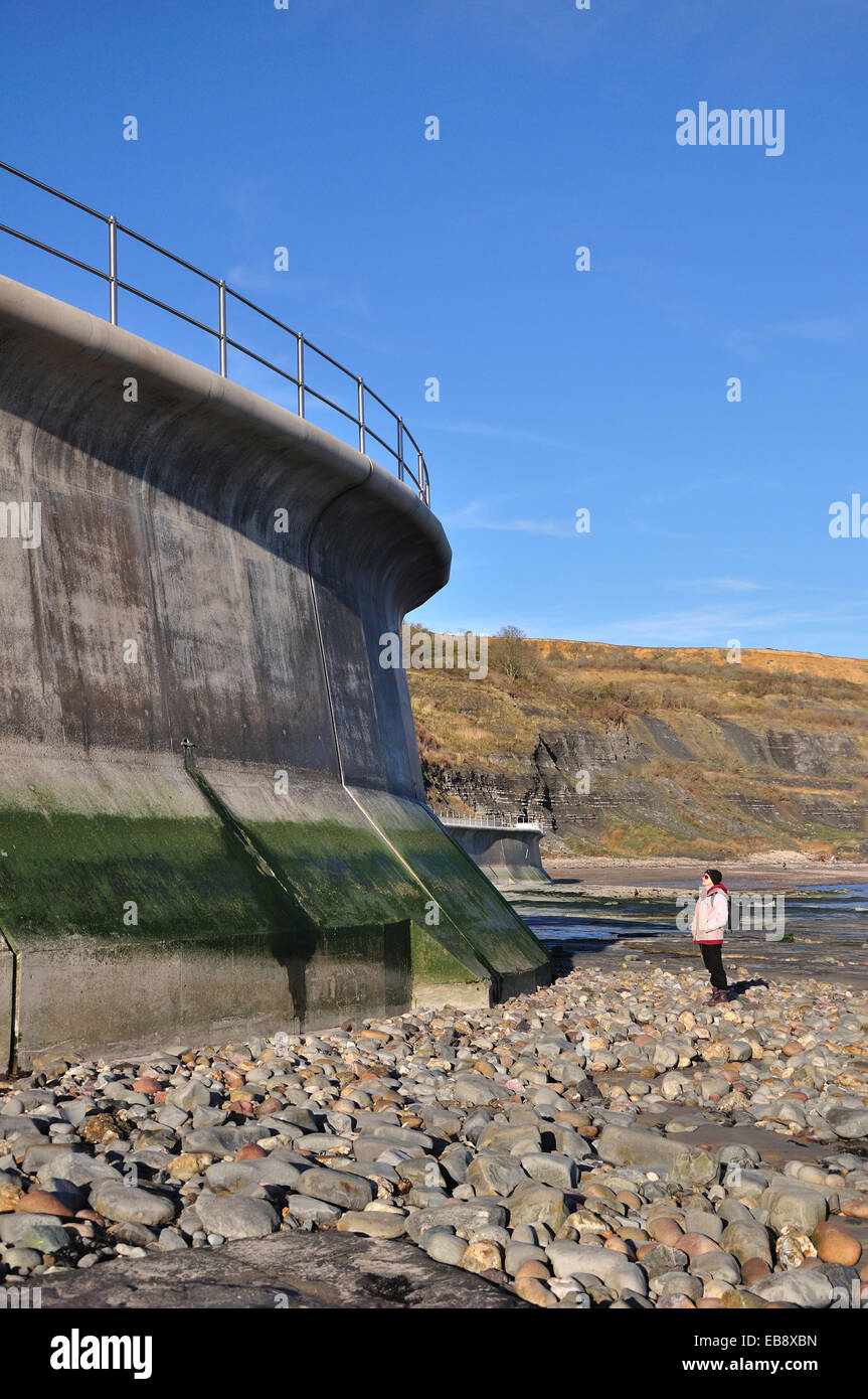 Lyme Regis per la difesa del mare Dorset Regno Unito Foto Stock