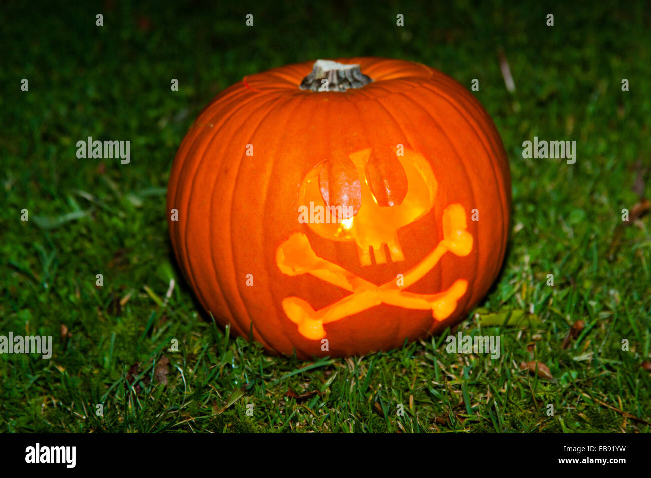 Halloween zucca lanterna al di fuori su un prato. Foto Stock