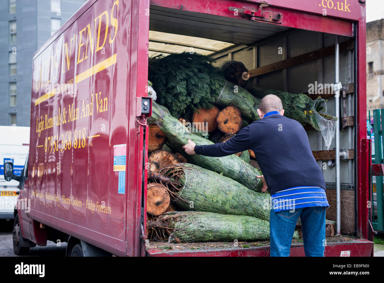 Londra:albero di Natale è in vendita in Schoreditch street Foto Stock