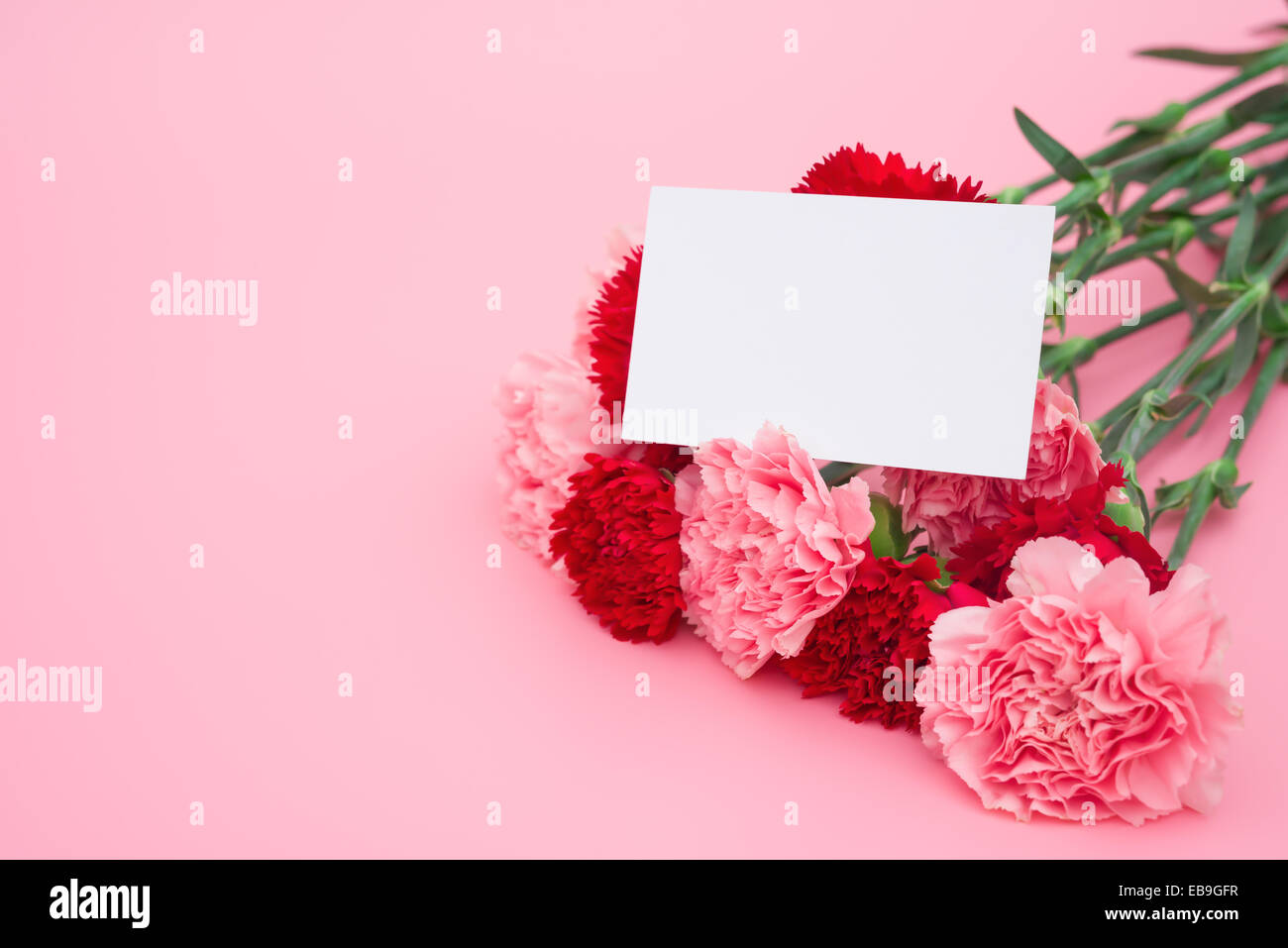 Rosso e rosa garofani con una scheda vuota pronta per il testo Foto Stock