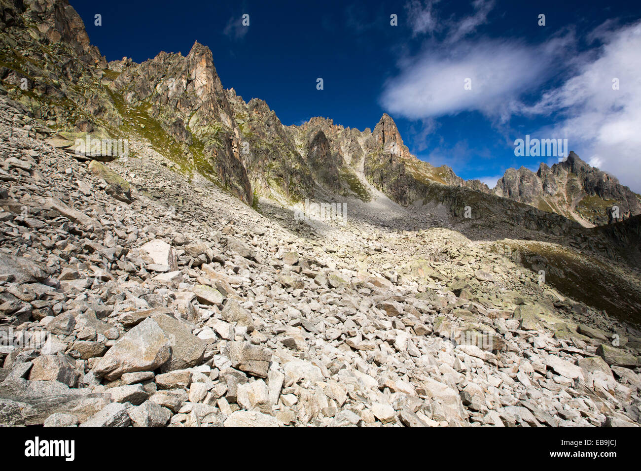 Ghiaione e massi di granito in alta Val d' Arpette nelle Alpi Svizzere. Foto Stock