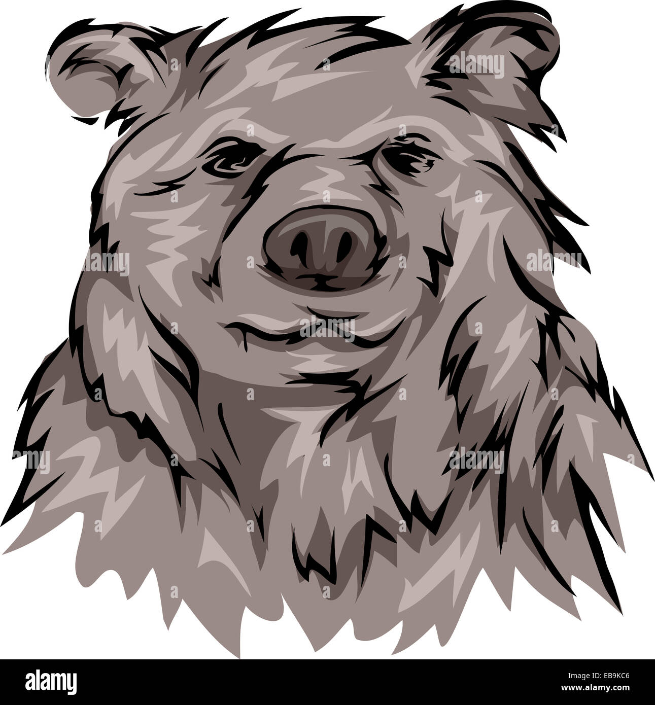 Illustrazione con un Orso grizzly Foto Stock