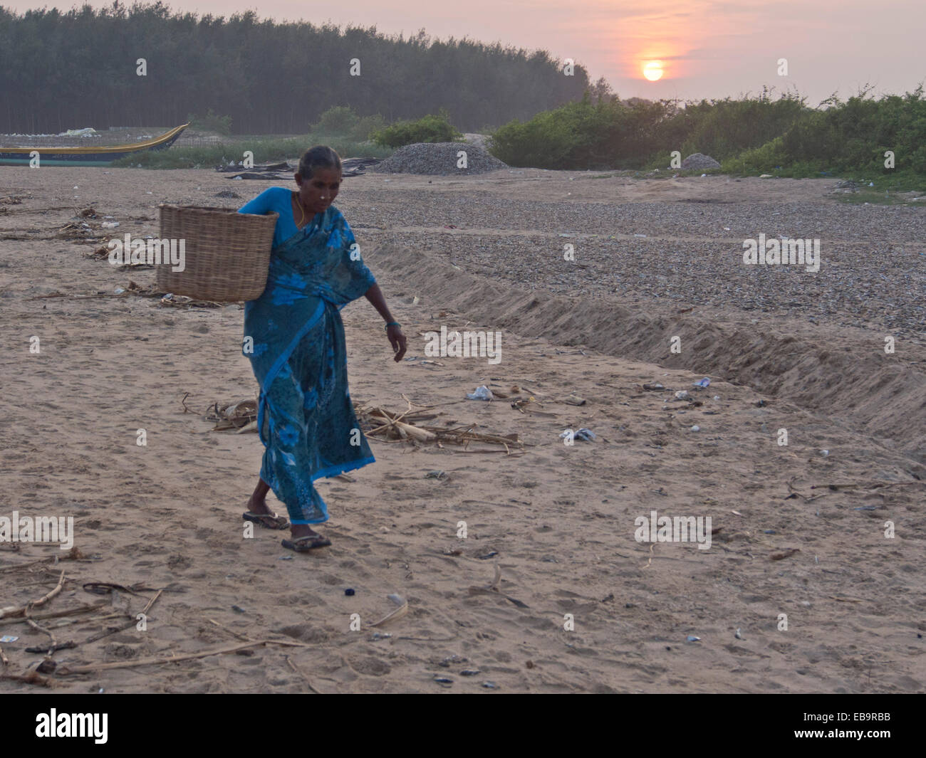 Donna che trasportano il pesce in un cestello sulla spiaggia in Tamil Nadu, India Foto Stock