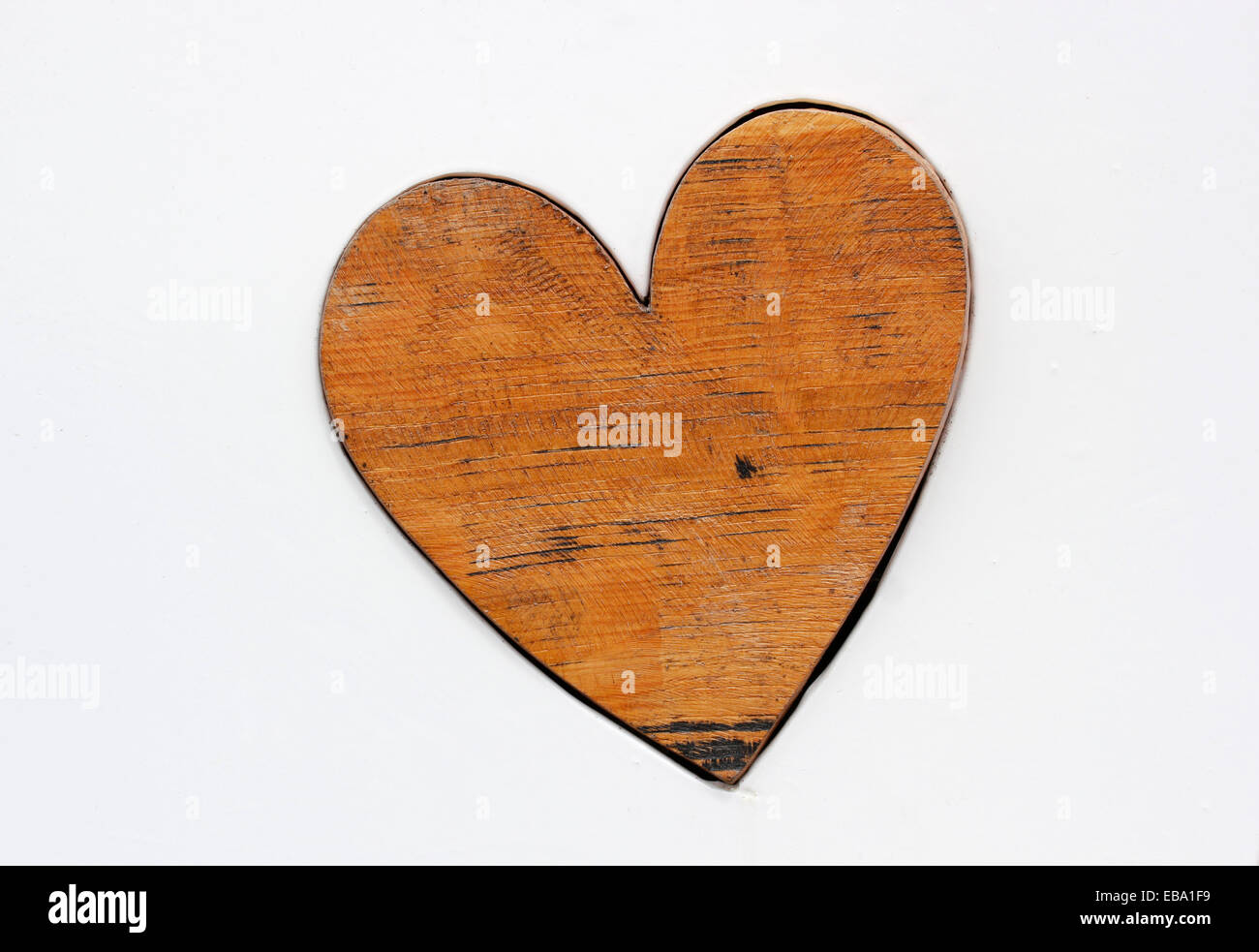 Cuore di legno, i giardini botanici dell'Eden Project, St Austell, Cornwall, England, Regno Unito Foto Stock