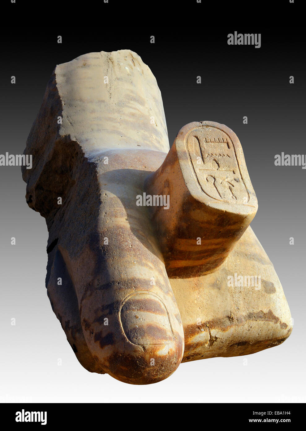 Frammento di mano di una gigantesca statua del faraone Ramesse II, Tempio di Karnak complessa, Karnak Luxor Governatorato, Egitto Foto Stock