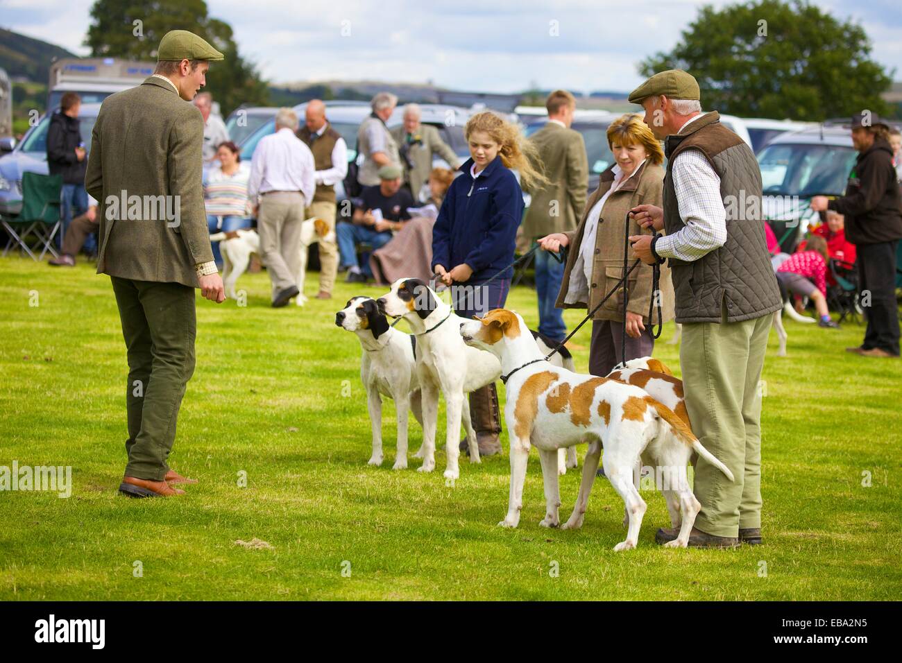 Persone che mostra FoxHounds. Threlkeld Show, Threlkeld Keswick Lake District Cumbria Inghilterra England Regno Unito Foto Stock