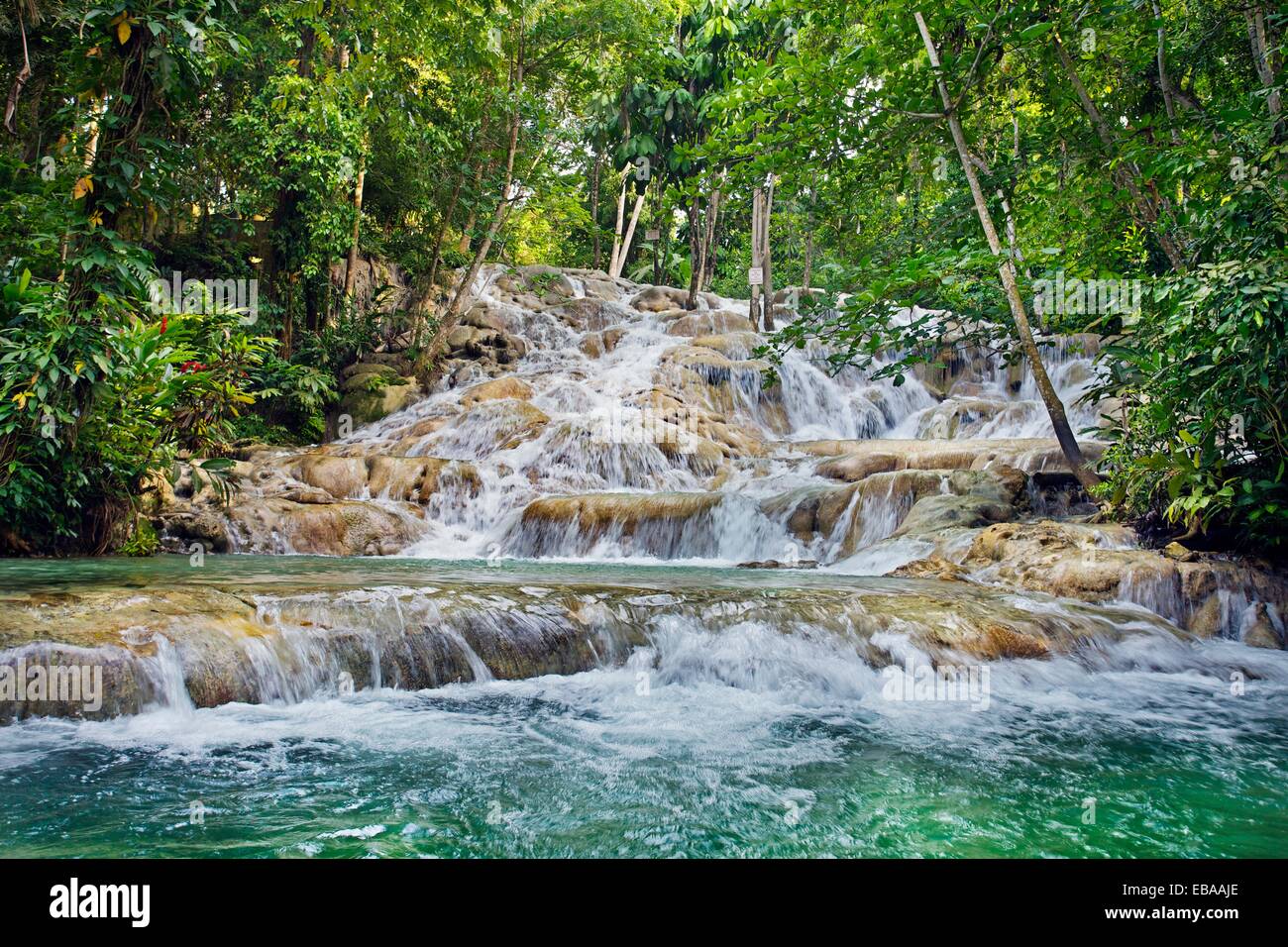 Dunns River Falls Cascate del Fiume Dunn Ocho Rios Giamaica West Indies  Caraibi America centrale Foto stock - Alamy