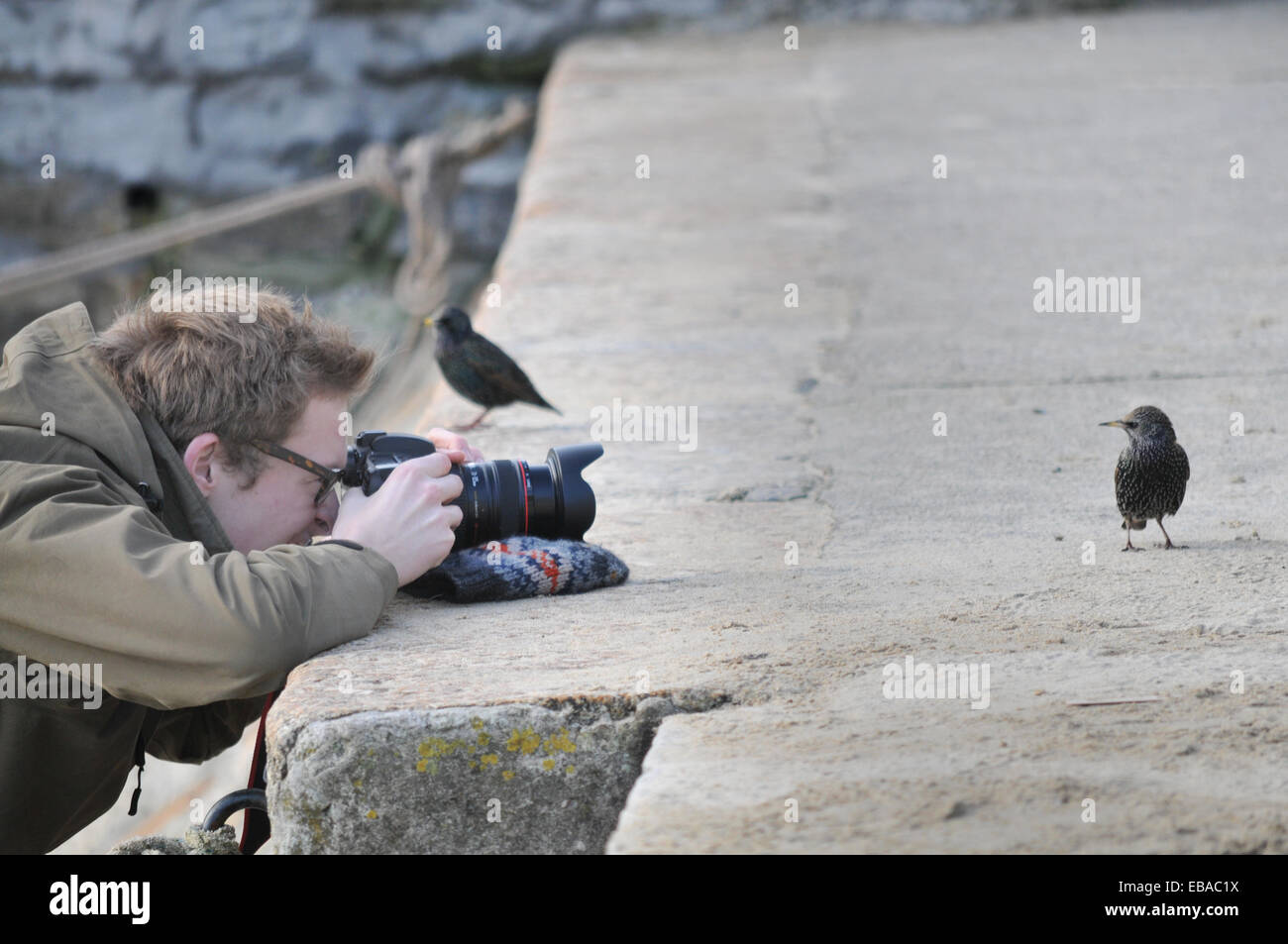 Un fotografo si avvicina al suo oggetto Foto Stock