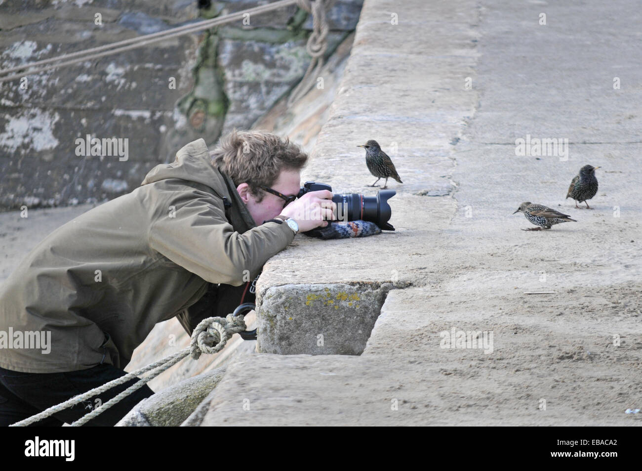 Un fotografo si avvicina al suo oggetto Foto Stock