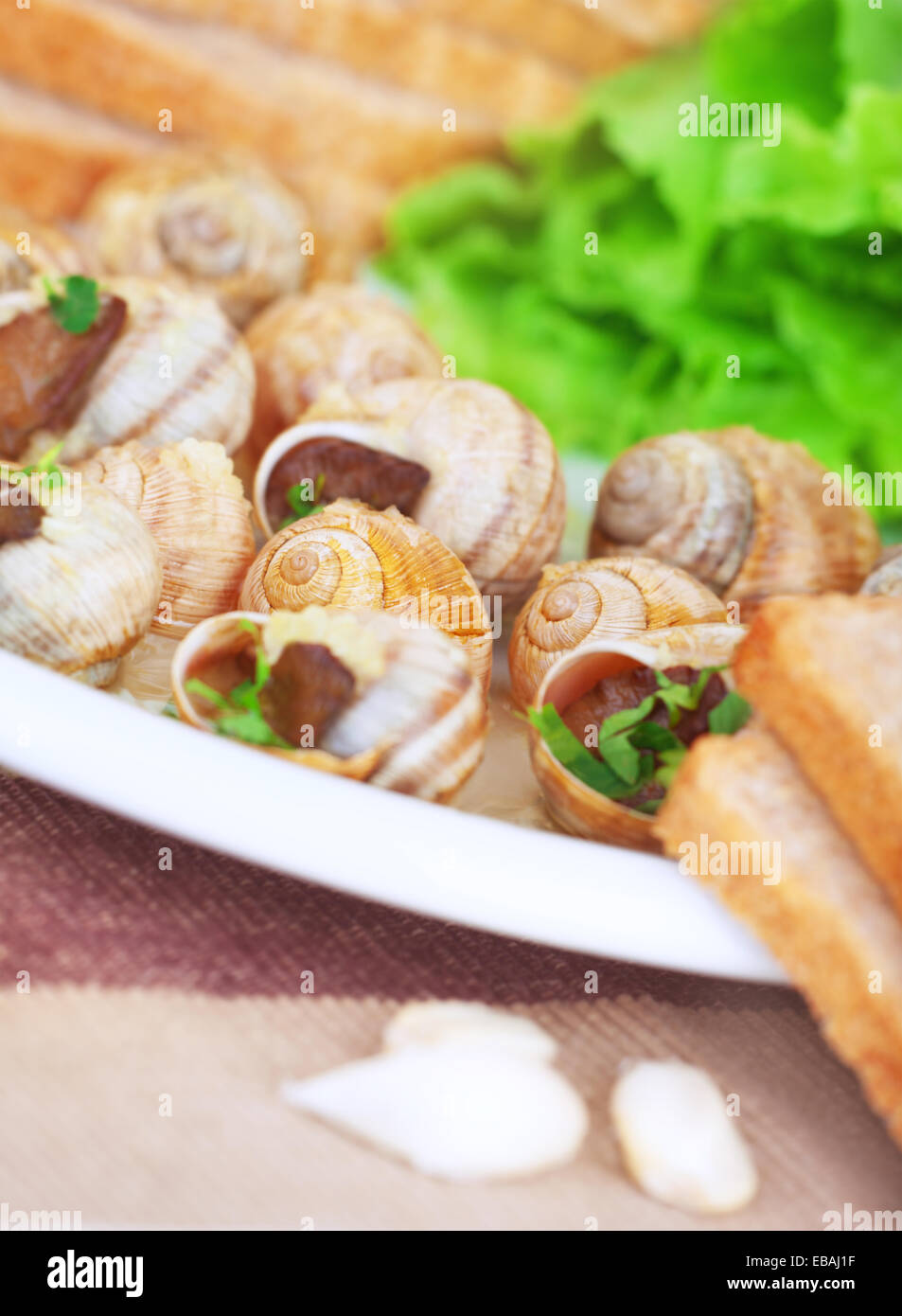 Escargot gustoso piatto della piastra con pane e aglio, tradizionale gastronomia francese, nutrizione sana, ristorante di lusso Foto Stock