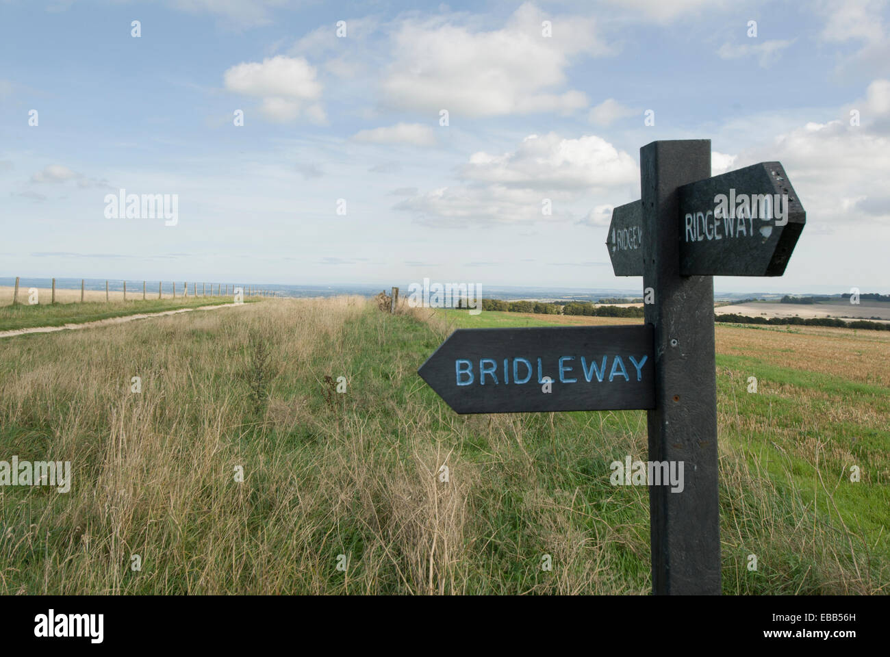 Ridgeway bridleway segno posto sulla cresta del modo vicino Uffignton Wiltshire, Inghilterra Foto Stock