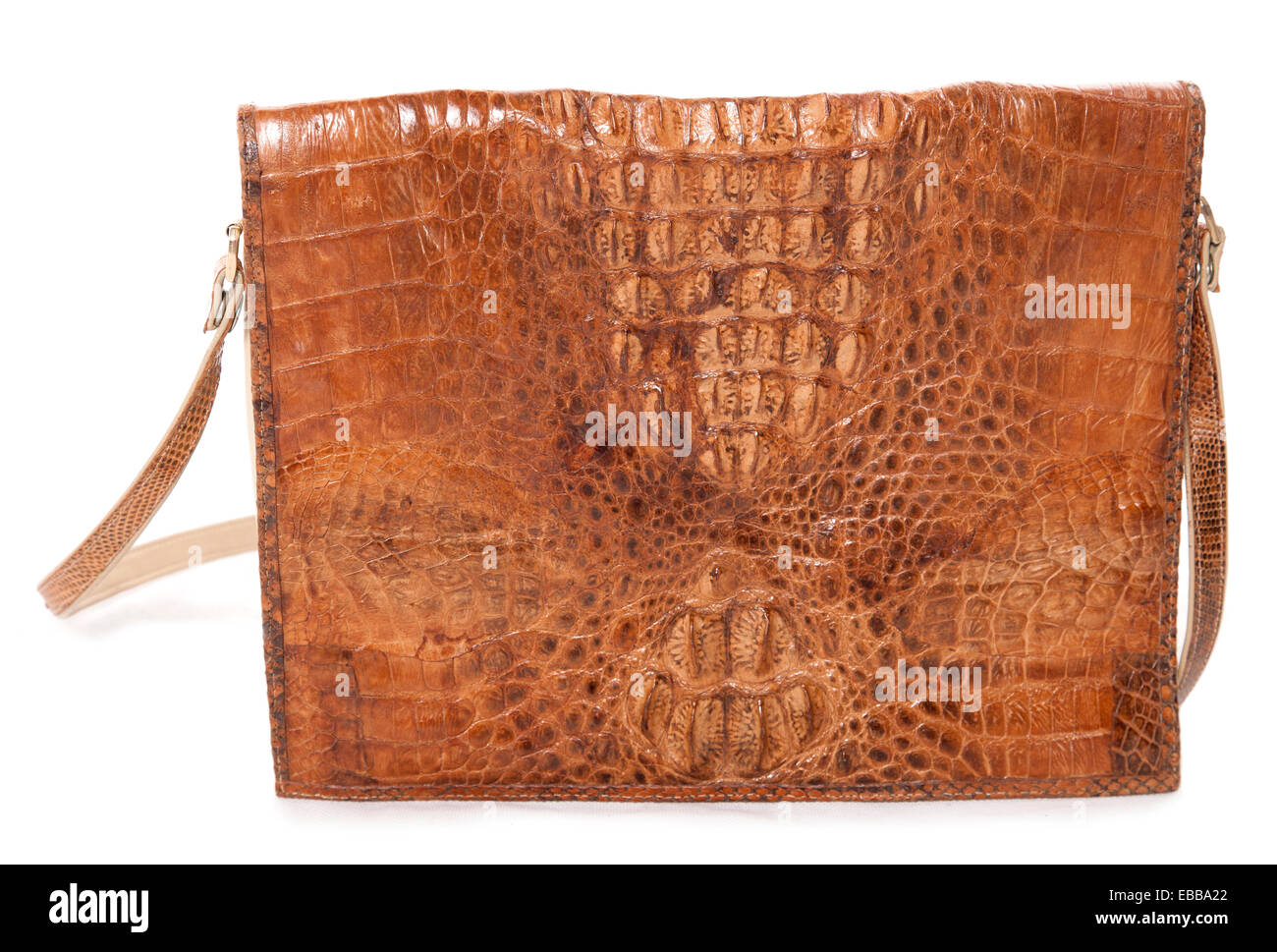 Vintage pelle di coccodrillo borsetta studio ritaglio Foto Stock