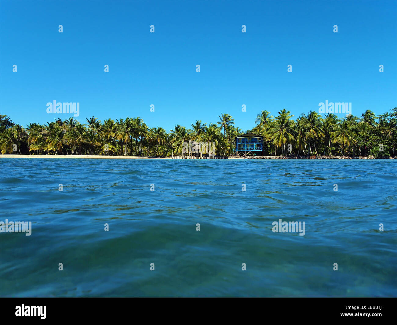 Costa Tropicale all'orizzonte con una casa sulla spiaggia e gli alberi di cocco Foto Stock