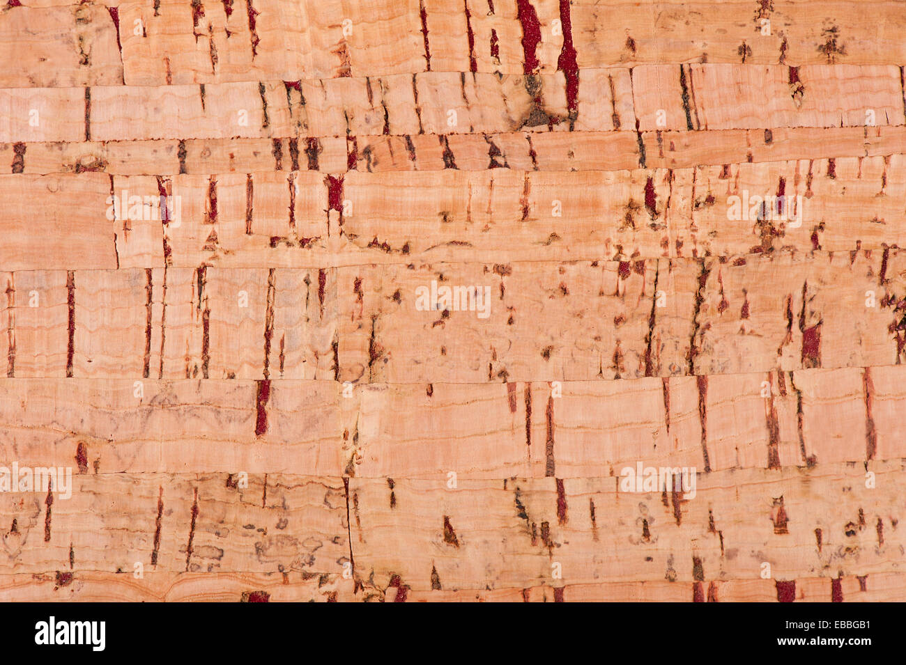 Sughero marrone striato texture di foglio Foto Stock
