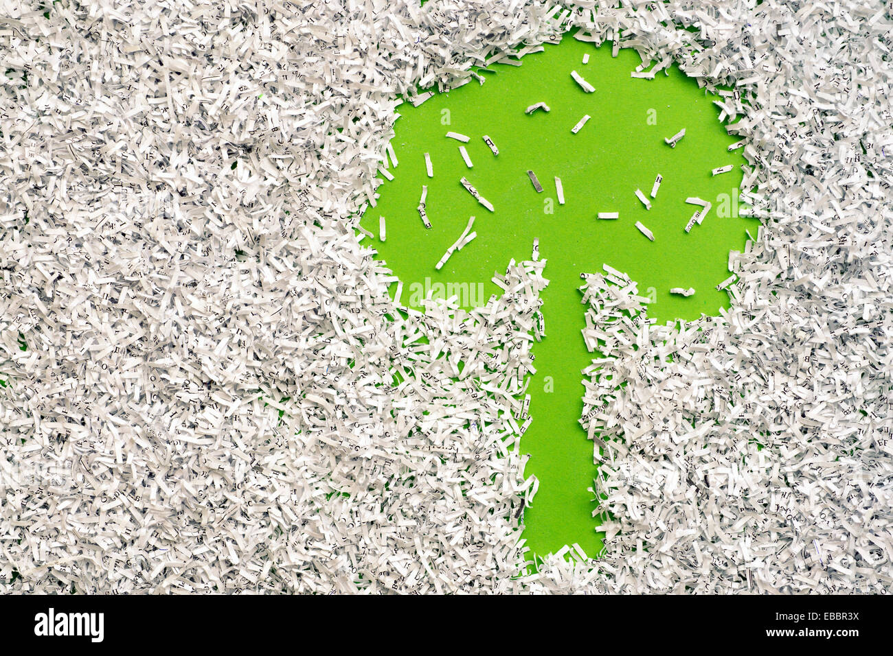 Albero verde fatto da sfondo sotto la carta tagliuzzata heap Foto Stock