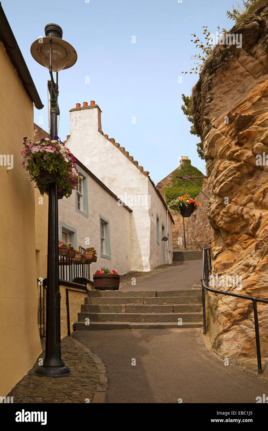 Cove Wynd, Pittenweem Foto Stock