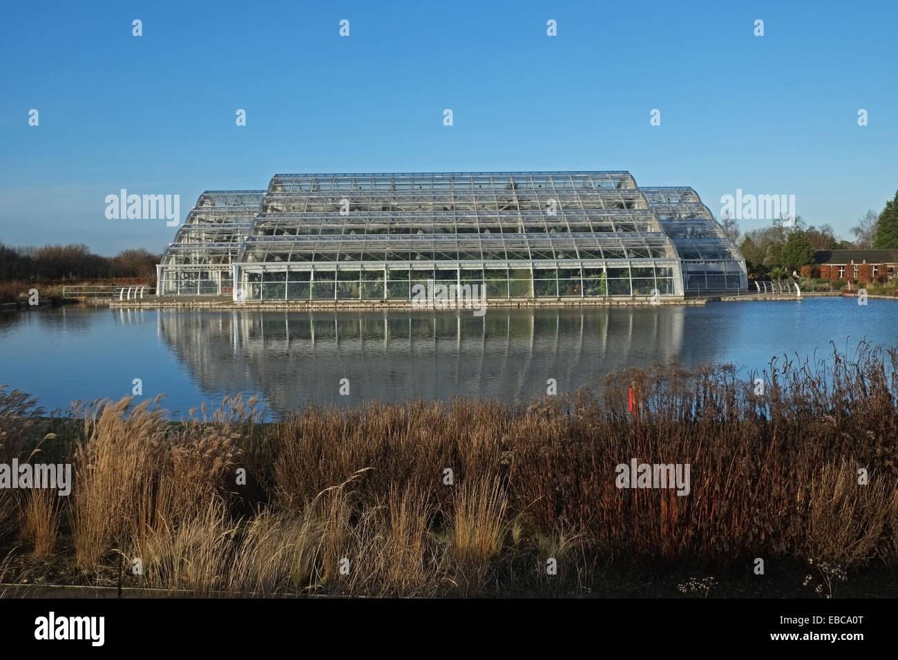 Serra, Wisley, Surrey, Inghilterra. Aperto nel 2007 è di 12 metri (40 ft) alto con tre zone climatiche. Foto Stock